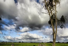 欧博官网:距刘翔仅0.06秒!刘俊茜成亚洲男子60米栏历史第二人@中国田径队.