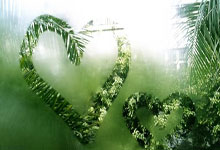 男篮亚洲杯预选赛:中国队今晚迎战日本队 高诗岩无缘大名单.